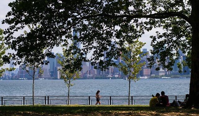 Discovering the Lively Island Communities of the U.S.: A Deep Dive into Their 2020 Population Dynamics