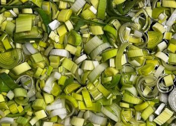 Is Your Salad at Risk? Unpacking Arizona’s Water Crisis