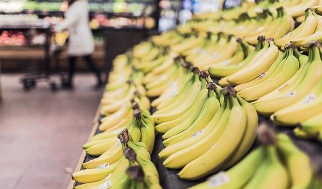Transforming Sustainability: How the Banana Industry in Guadeloupe and Martinique is Leading the Way