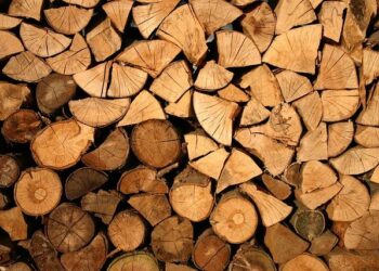Game-Changing AI Technology Takes Aim at Illegal Deforestation in Guatemala
