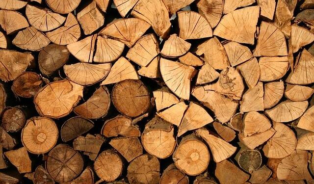 Game-Changing AI Technology Takes Aim at Illegal Deforestation in Guatemala