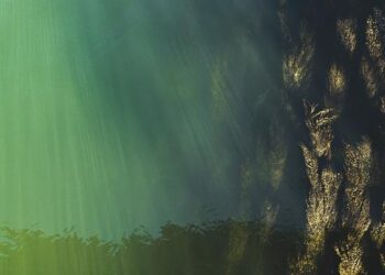 America’s Biggest Reservoirs Are Running Dry: A Deep Dive into the Water Crisis