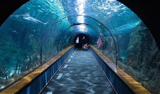 Revolutionary Underwater Tunnel Set to Link Russia and Alaska!