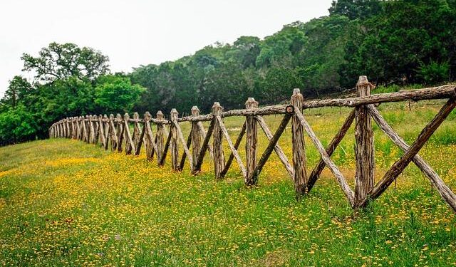 Breaking the Mold: Discovering the Real Struggles Behind Texas’ The Meadow