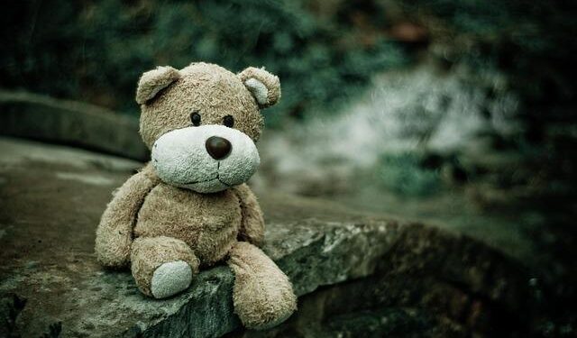 From Stuffed Animals to New Beginnings: The Inspiring Journey of Deported Parents’ Children in Guatemala