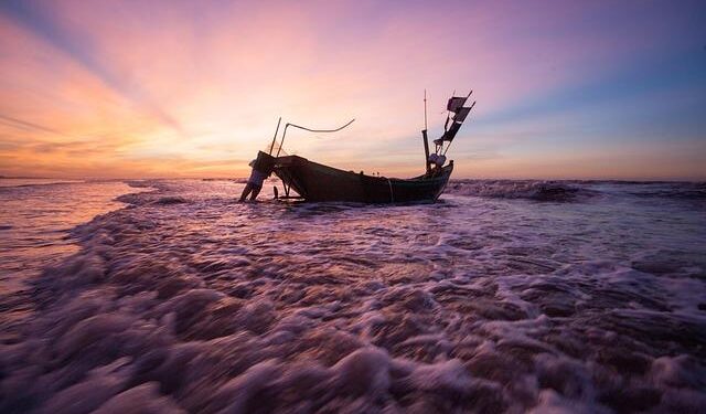 Local Fishermen in French Guiana Sound the Alarm: Foreign Boats Threaten Their Livelihoods