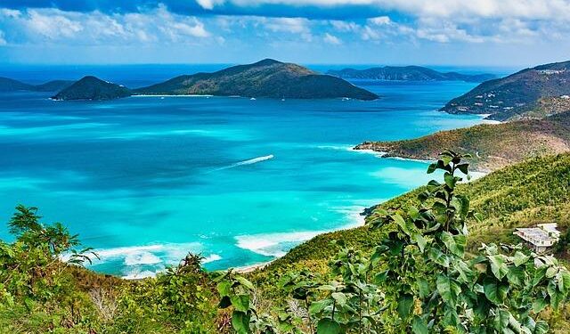 Stunning Arrest: British Virgin Islands Premier Andrew Fahie Exposed in US Drug Operation